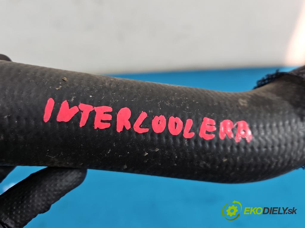 Citroen C5 Aircross 17-25 1.2 T 131 hp manual 96 kW 1199 cm3 5- Trubka: 9820100680