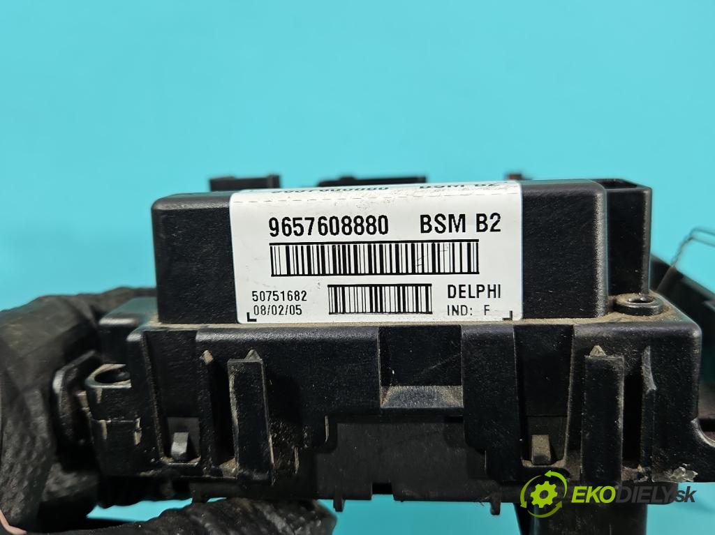 Peugeot 307 2.0 hdi 90 HP manual 66 kW 1997 cm3 5- riadiaca jednotka ostatné 9657608880