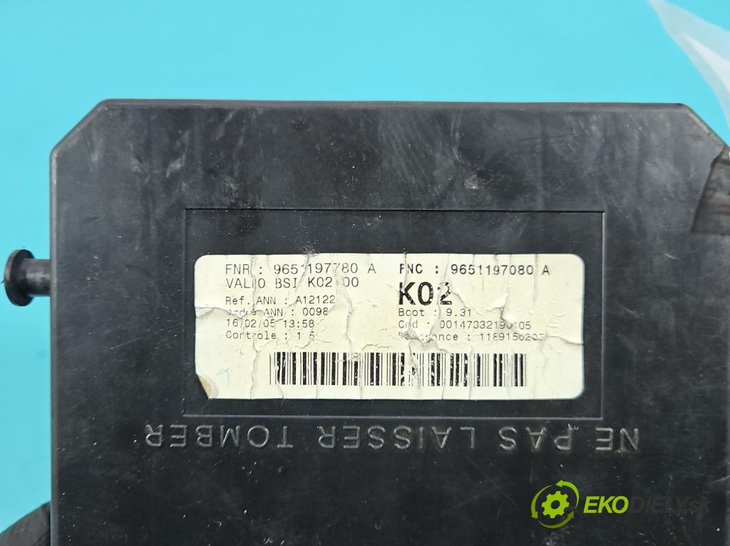 Peugeot 307 2.0 hdi 90 HP manual 66 kW 1997 cm3 5- riadiaca jednotka ostatné 9651197080A
