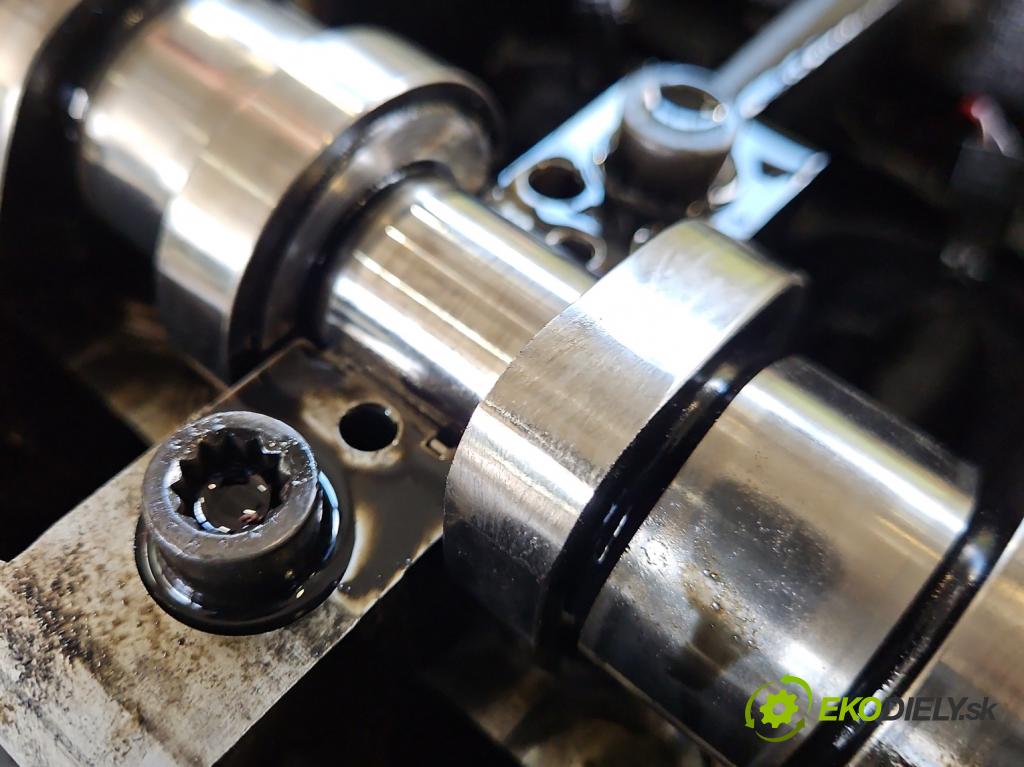 Vw Passat B6 2005-2010 1.9 tdi 105 HP manual 77 kW 1896 cm3 4- motor diesla BKC