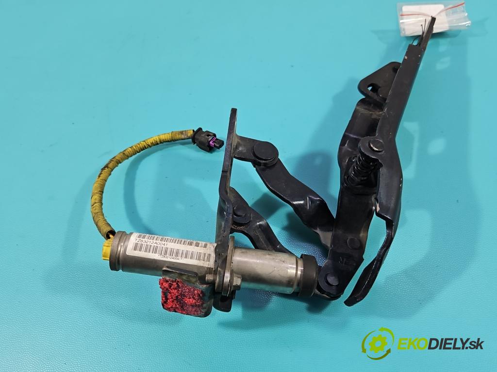 Fiat Freemont 2.0 jtd 170 HP manual 125 kW 1956 cm3 5- Závěs: kapoty pravý 68066584AC