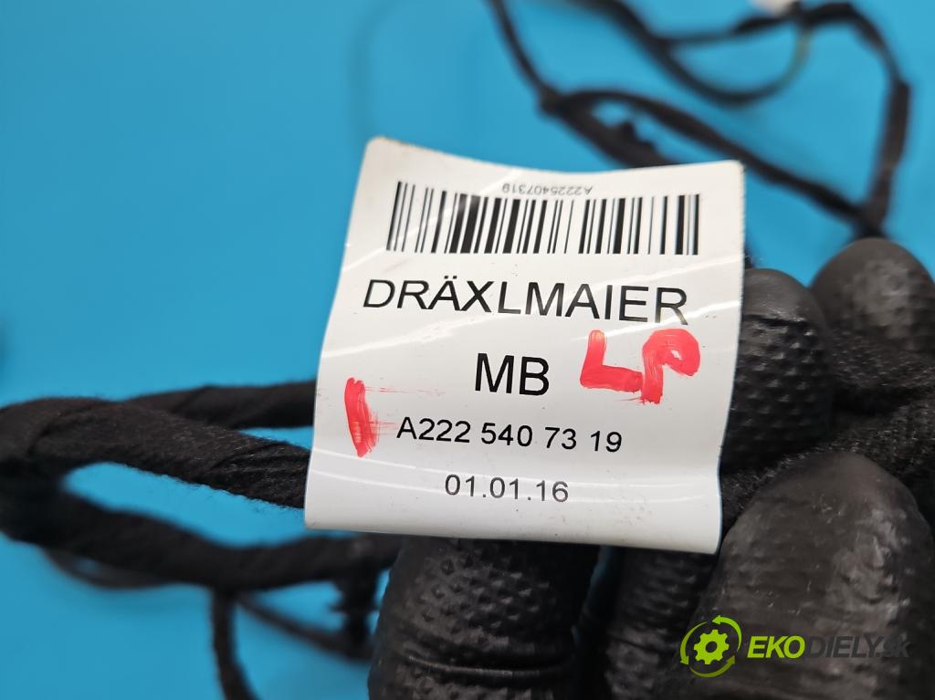 Mercedes S W222 2013-2020 3.0 cdi 656929 340KM automatic 250 kW 2925 cm3 4- Balíček: dveře přední vlevo A2225407319