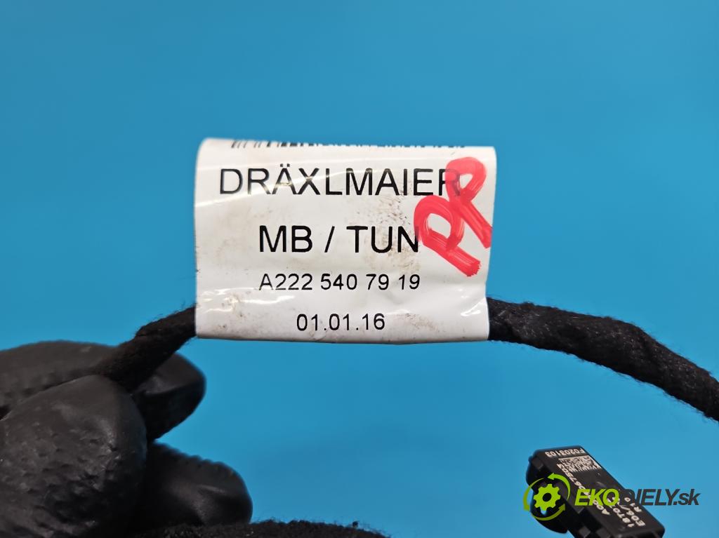 Mercedes S W222 2013-2020 3.0 cdi 656929 340KM: automatic 250 kW 2925 cm3 4- Zväzok: dvere predné pravých A2225407919