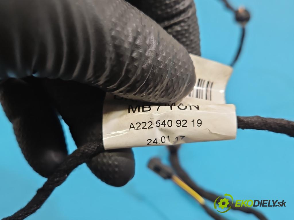 Mercedes S W222 2013-2020 3.0 cdi 656929 340KM: automatic 250 kW 2925 cm3 4- Zväzok: dvere zadné vľavo: A2225409219