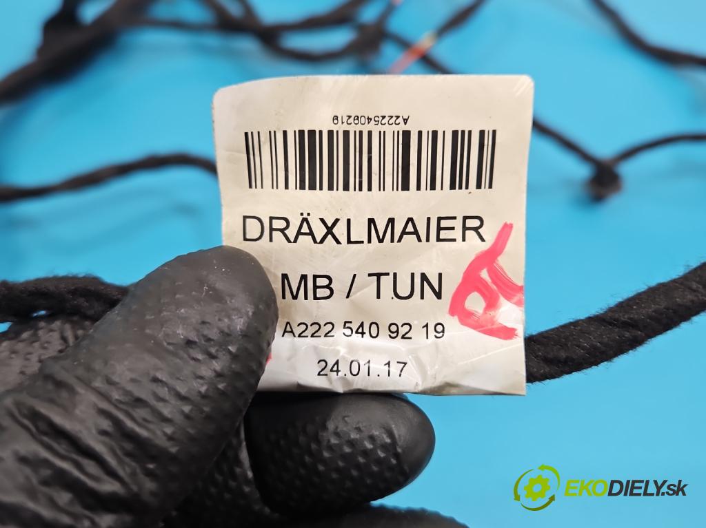 Mercedes S W222 2013-2020 3.0 cdi 656929 340KM: automatic 250 kW 2925 cm3 4- Zväzok: dvere zadné pravých A2225409219