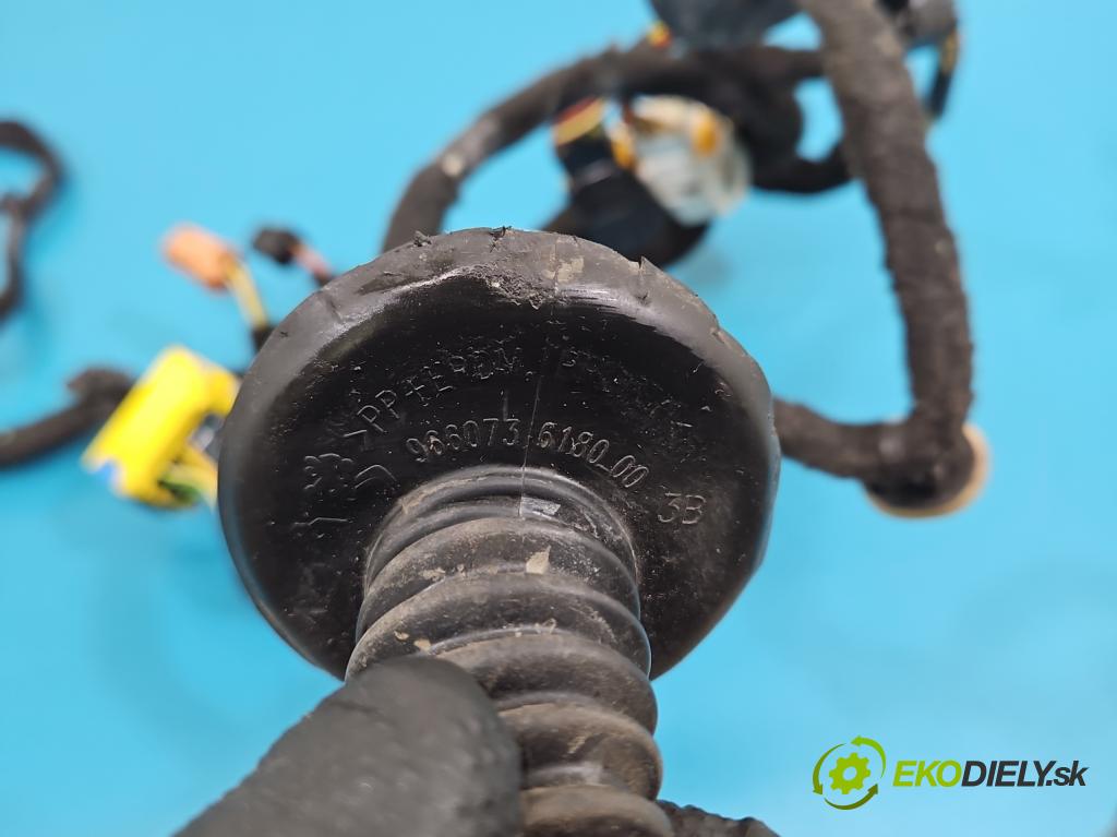 DS 4 2015-2020 2.0 hdi 181KM automatic 133 kW 1997 cm3 5- Balíček: dveře přední vlevo 9810100880