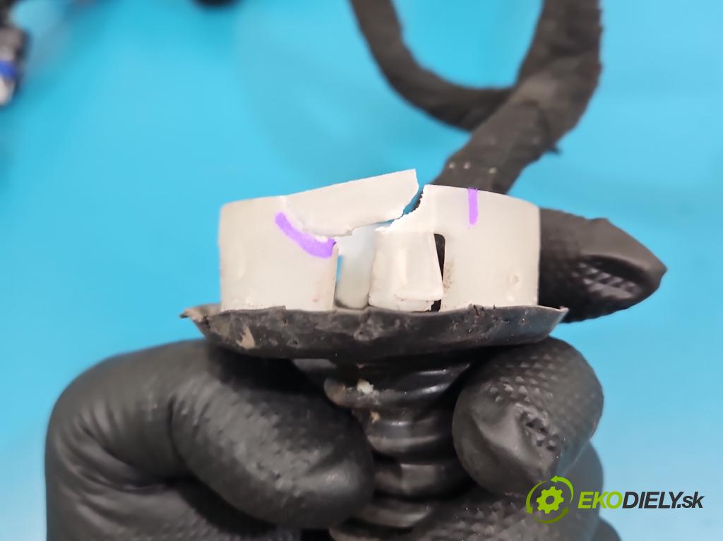 DS 4 2015-2020 2.0 hdi 181KM automatic 133 kW 1997 cm3 5- Balíček: dveře přední vlevo 9810100880