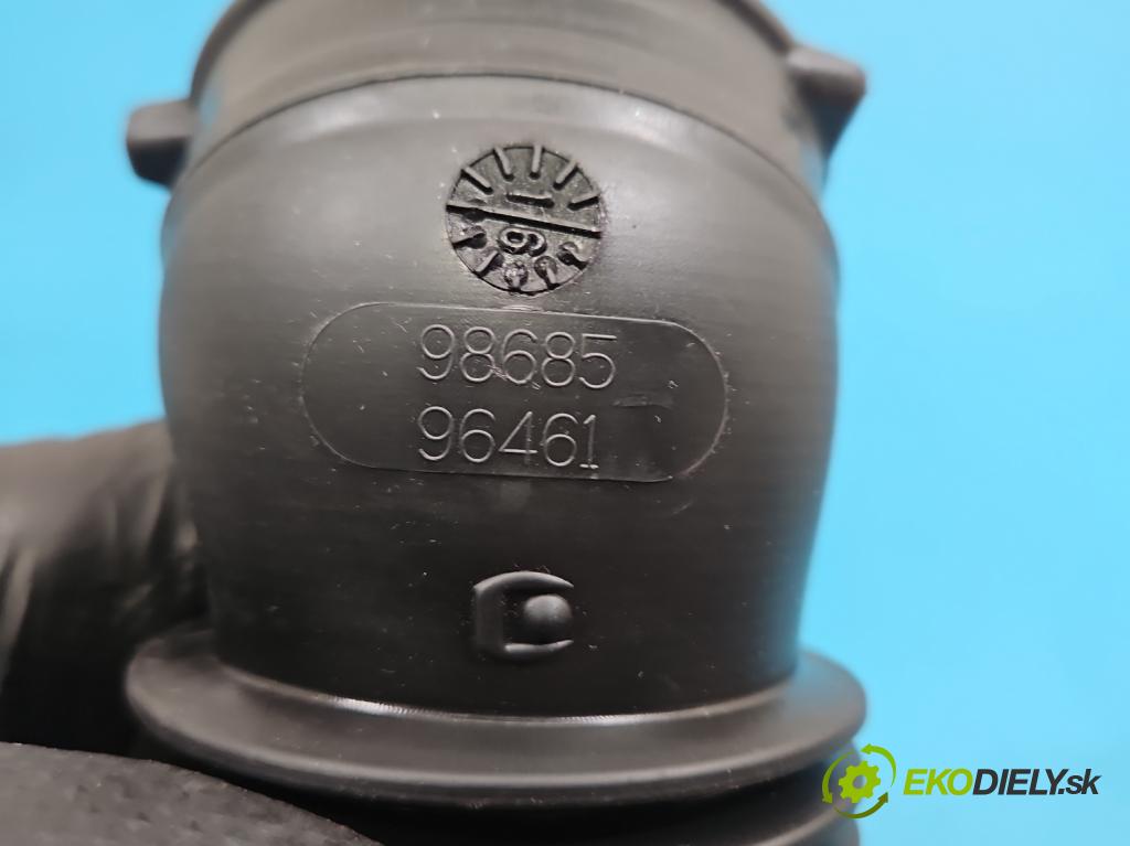 DS 4 2015-2020 2.0 hdi 181KM automatic 133 kW 1997 cm3 5- Trubka: 9868596461