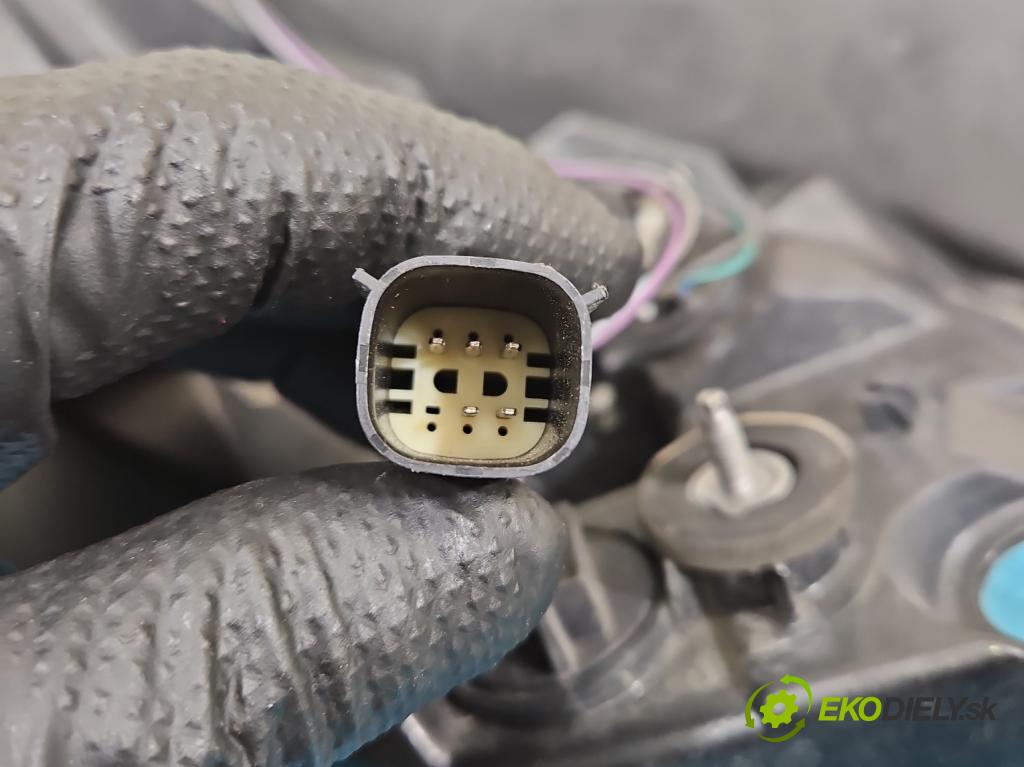 Opel Insignia A 2008-2017 2.0 cdti 170 HP manual 125 kW 1956 cm3 4- svetlo / reflektor zadné pravé 23422540 (Kľučka dverí ostatné)