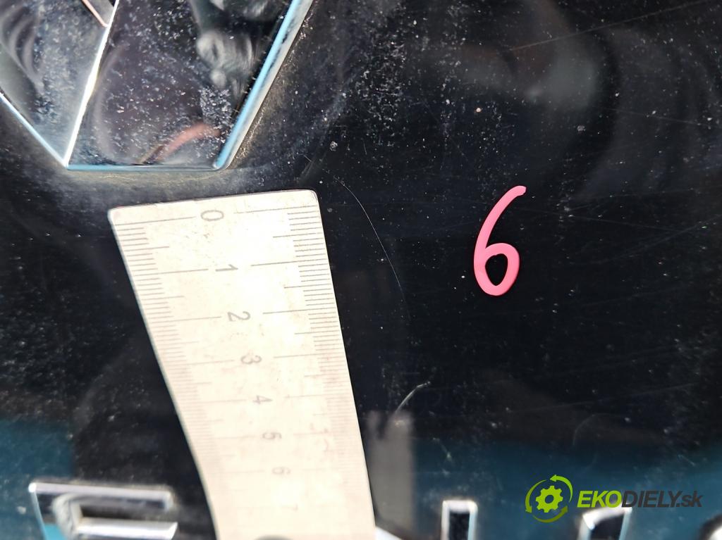 Renault Scenic III 2009-2016 1.4 131 hp manual 96 kW 1397 cm3 5- zadní kufrové dveře  (Zadní kapota (kufr))