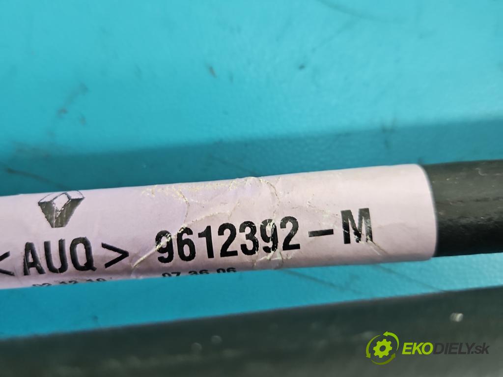 Renault Scenic III 2009-2016 1.4 131 HP manual 96 kW 1397 cm3 5- Páka: Změny: stupeň,rýchlosť 8201021402 (Rýchlostná páka (kulisa))