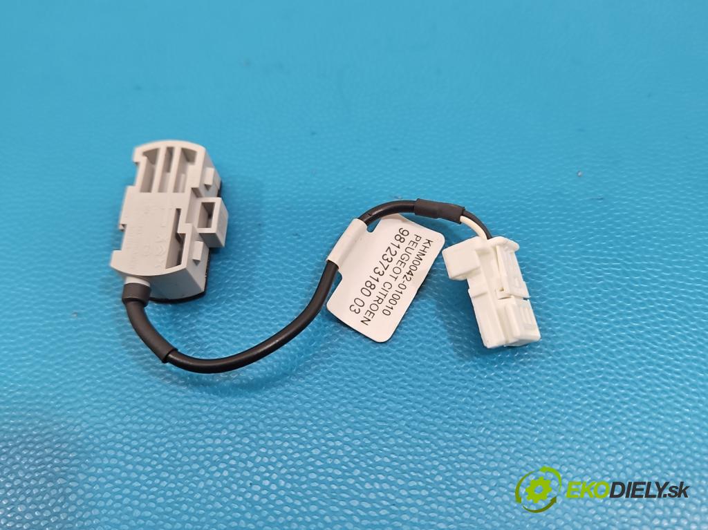 Citroen C5 Aircross 17-25 1.2 T 131 HP manual 96 kW 1199 cm3 5- Mikrofon: A004B9DWW1