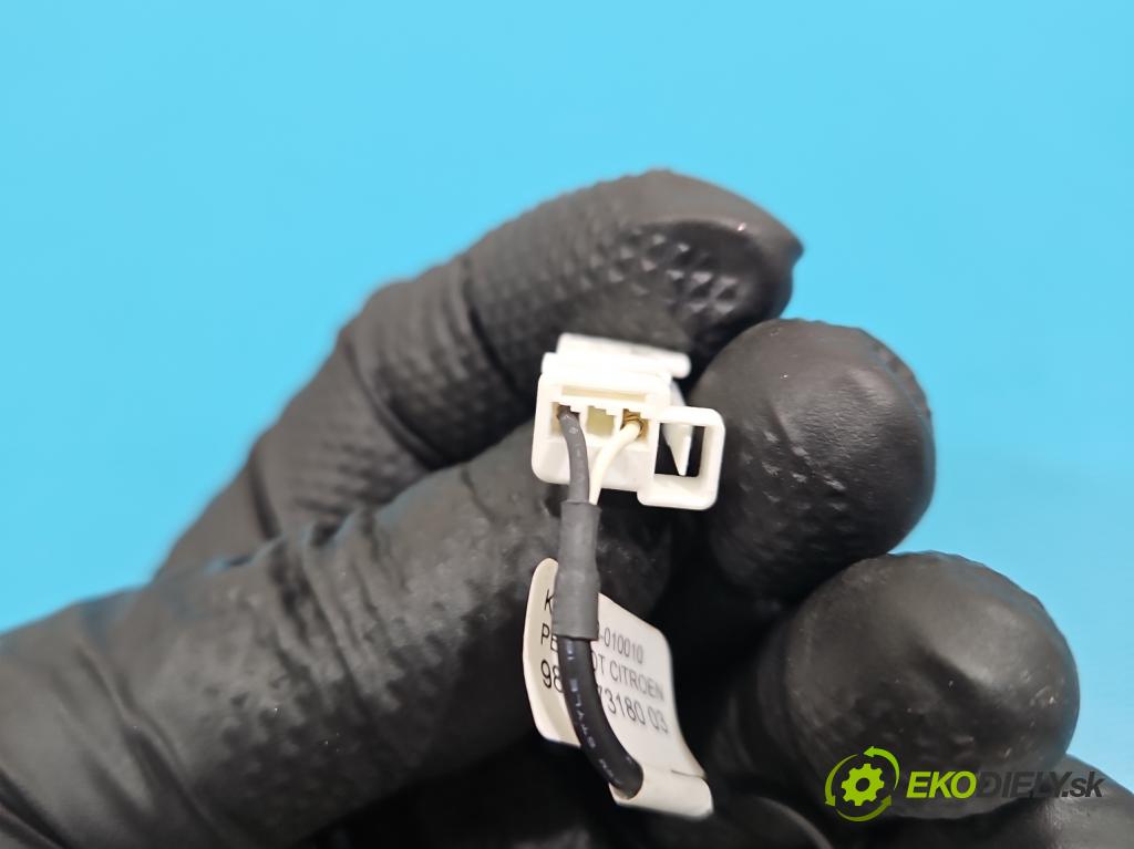 Citroen C5 Aircross 17-25 1.2 T 131 HP manual 96 kW 1199 cm3 5- Mikrofon: A004B9DWW1