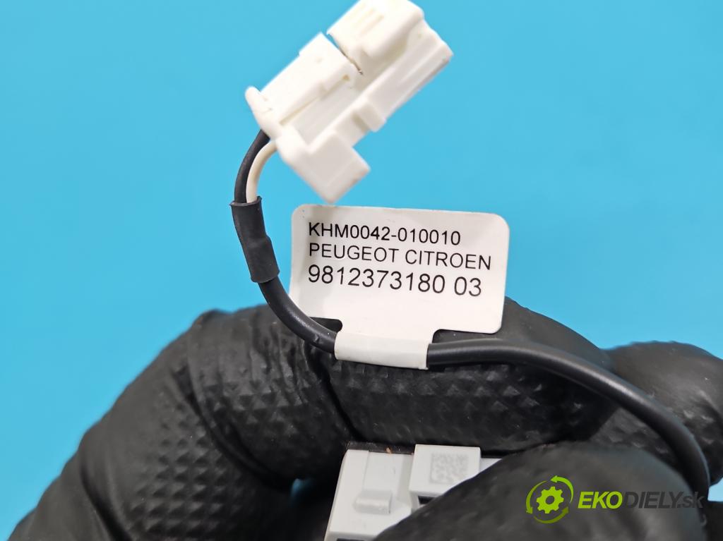 Citroen C5 Aircross 17-25 1.2 T 131 HP manual 96 kW 1199 cm3 5- Mikrofon: A004B9DWW1