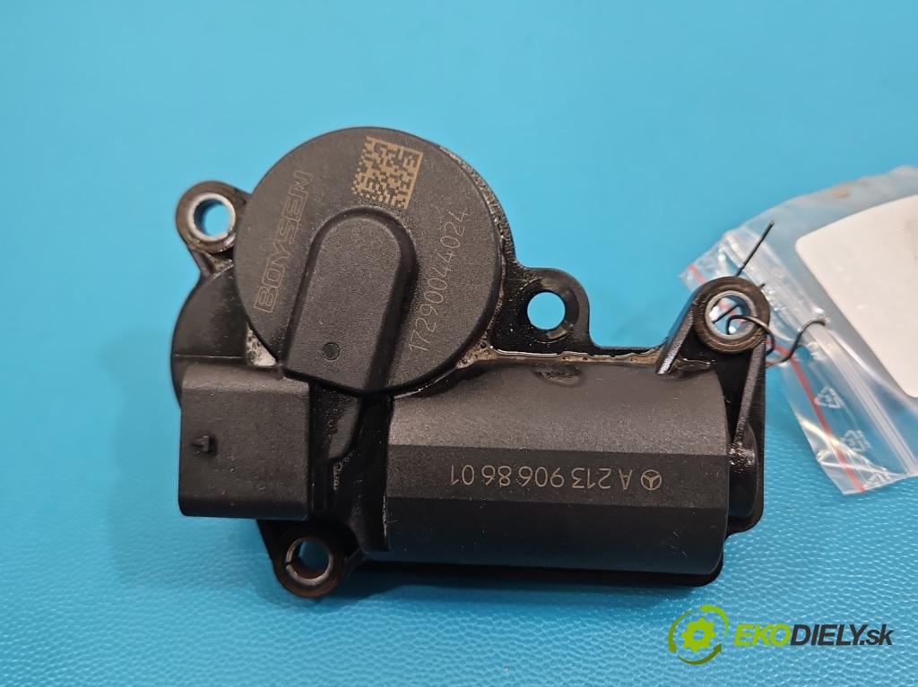 Mercedes E W213 2016-2023 2.0 CDI 194KM: automatic 143 kW 1950 cm3 4- motor: ostatné A2139068601