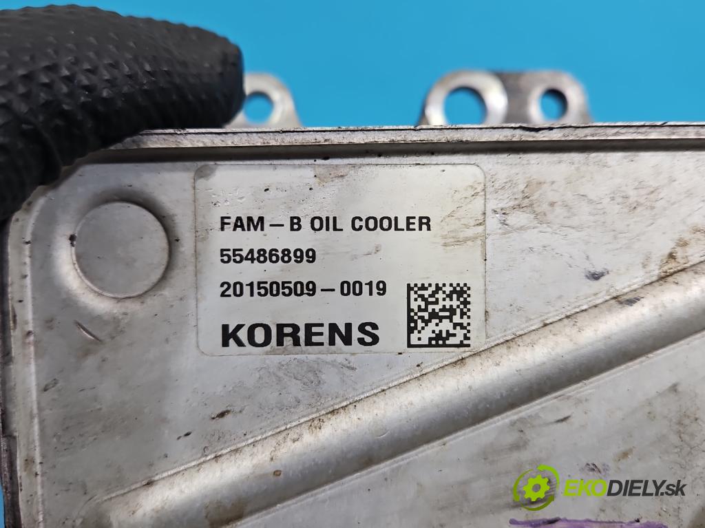 Opel Insignia A 2008-2017 2.0 cdti 170 hp manual 125 kW 1956 cm3 4- Chladič olej: 55486899