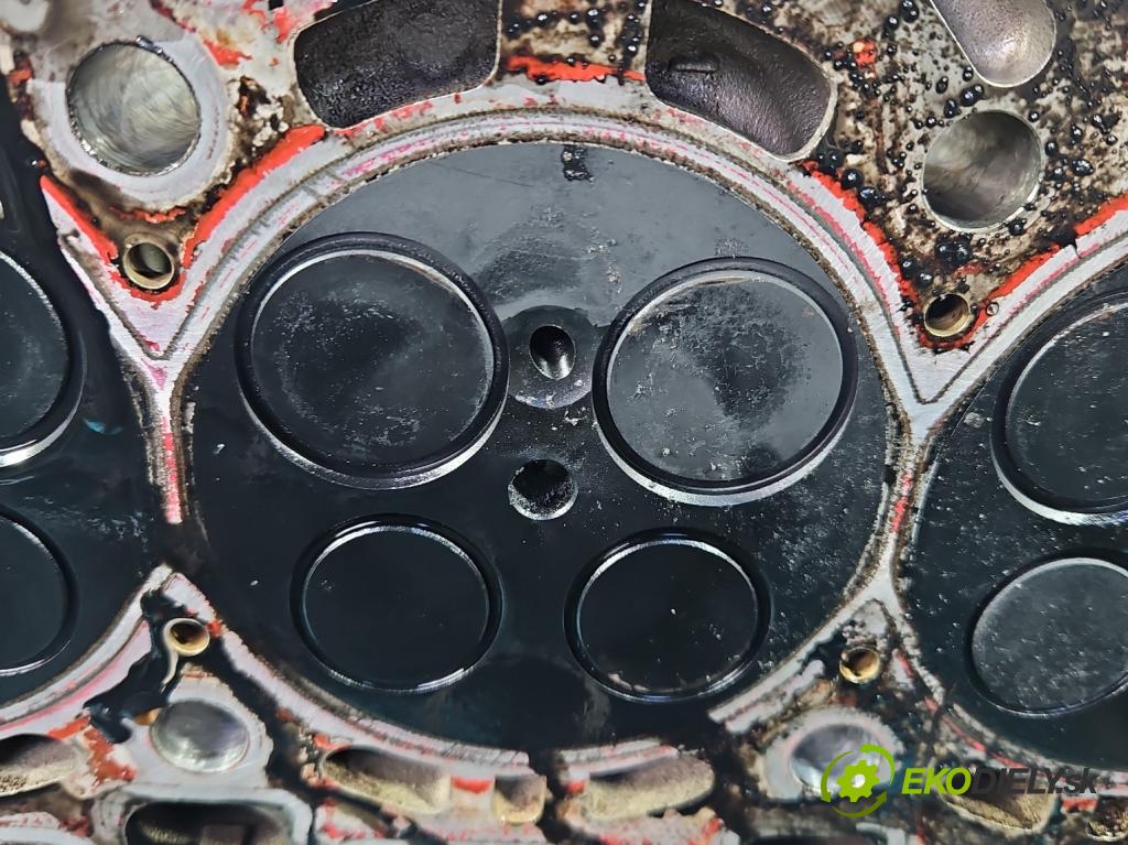 Opel Insignia A 2008-2017 2.0 cdti B20DTH 170 hp manual 125 kW 1956 cm3 4- hlava motoru 55599663