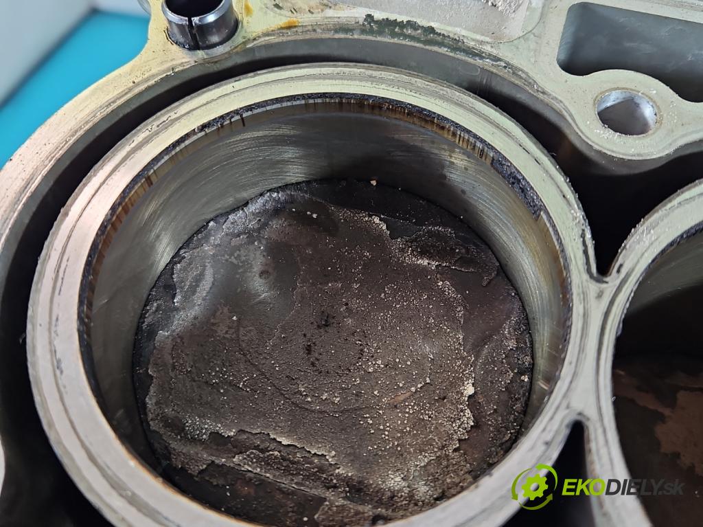 Dacia Dokker 2012- 1.6 16V 102 HP manual 75 kW 1598 cm3 5- Blok motora H4MD740 (Blok motora)