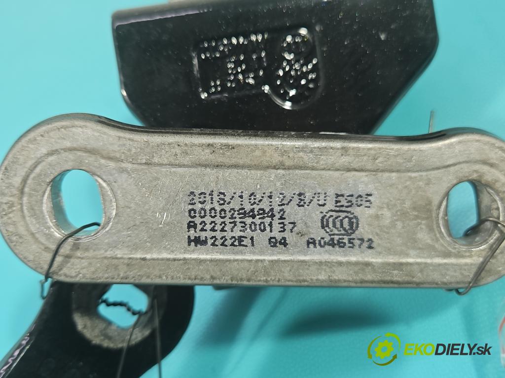 Mercedes S W222 2013-2020 3.0 cdi (656929) 340KM automatic 250 kW 2925 cm3 4- Závěs: dveře zadní levý A2227300137