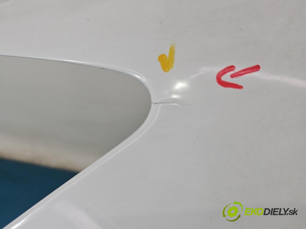 Ford Kuga Mk1 2008-2013 2.0 tdci 136 HP manual 100 kW 1997 cm3 5- blatník predné ľavý 8V41-16016-A (Blatník predný ľavý)