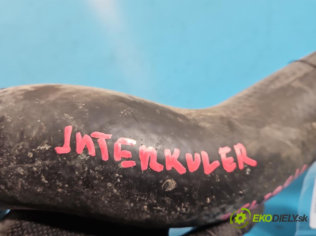 Toyota Rav4 IV 2013-2018 2.0 D4D 124 hp manual 91 kW 1998 cm3 5- Trubka: