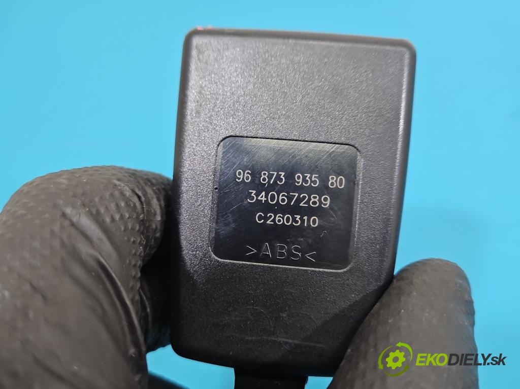 Citroen DS3 2010-2016 1.6 hdi 92 hp manual 68 kW 1560 cm3 3- stěna bezpečnost přední pravý 9687393580