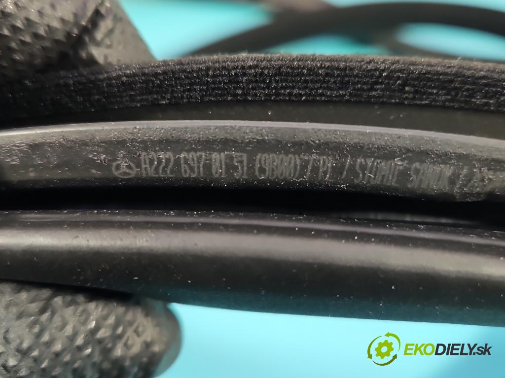 Mercedes S W222 2013-2020 3.0 cdi 656929 340KM automatic 250 kW 2925 cm3 4- Těsnění: dveře přední levé A2226970151