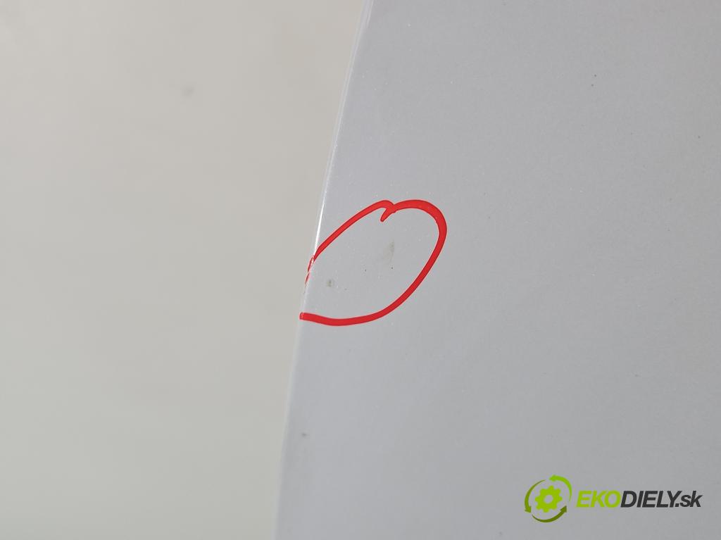 Skoda Octavia IV 2019- 2.0 TDI 116 HP manual 85 kW 1968 cm3 5- dvere predné ľavé  (Kľučka dverí ostatné)