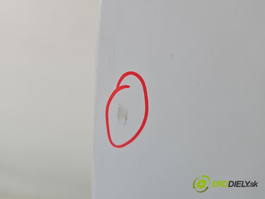 Skoda Octavia IV 2019- 2.0 TDI 116 HP manual 85 kW 1968 cm3 5- dvere predné ľavé  (Kľučka dverí ostatné)