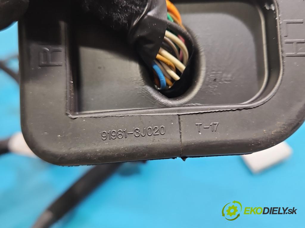 Hyundai Santa Fe III 2012–2018 2.4 GDI 190 HP automatic 140 kW 2359 cm3 5- Zväzok: dvere predné vľavo: 91600-4Z194