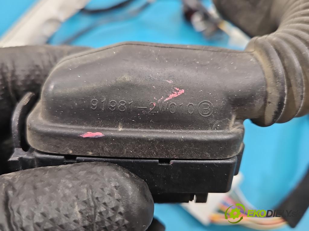 Hyundai Santa Fe III 2012–2018 2.4 GDI 190 HP automatic 140 kW 2359 cm3 5- Zväzok: dvere predné vľavo: 91600-4Z194