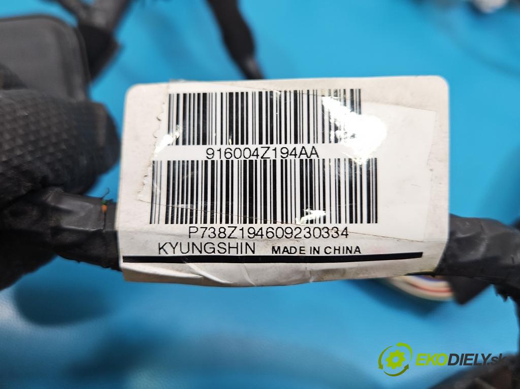 Hyundai Santa Fe III 2012–2018 2.4 GDI 190 HP automatic 140 kW 2359 cm3 5- Zväzok: dvere predné vľavo: 91600-4Z194