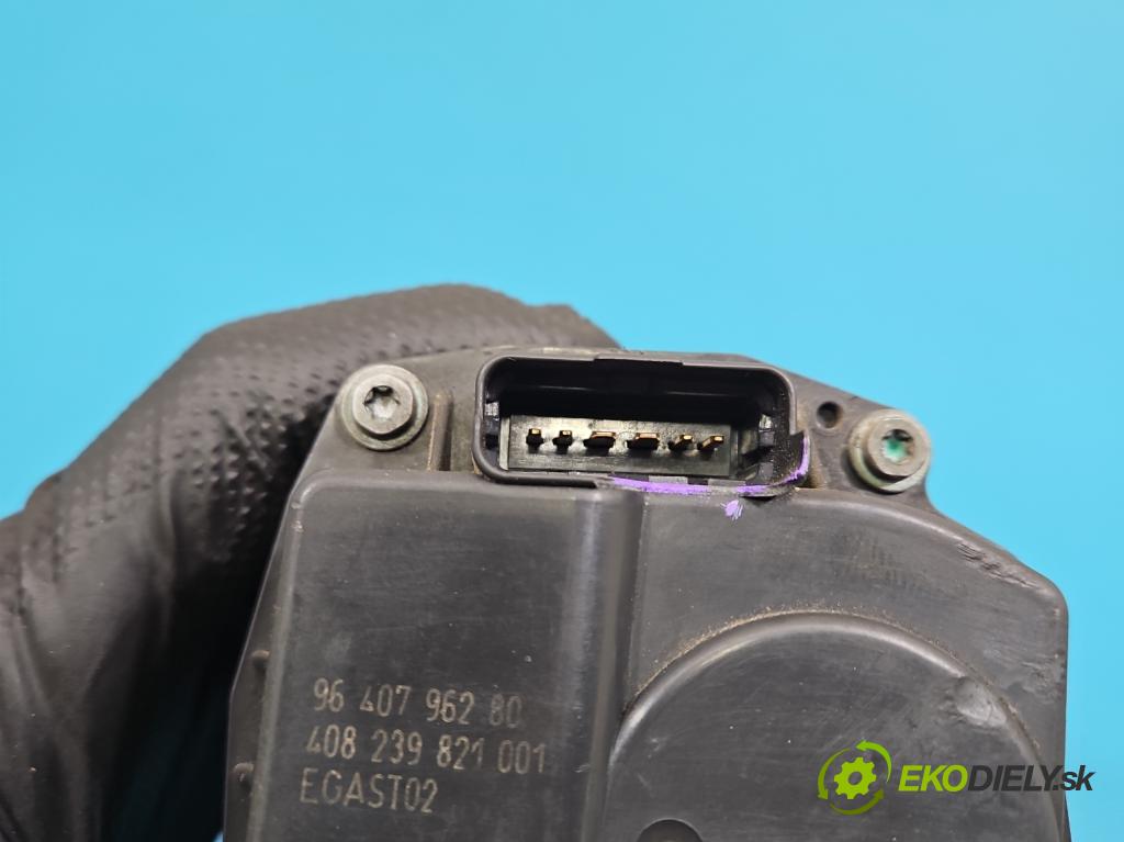 Peugeot 207 1.4 8V 73 HP manual 54 kW 1360 cm3 5- klapka 9640796280 (Škrtiaca klapka)