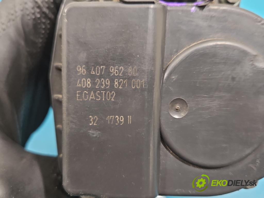 Peugeot 207 1.4 8V 73 HP manual 54 kW 1360 cm3 5- klapka 9640796280 (Škrtiaca klapka)