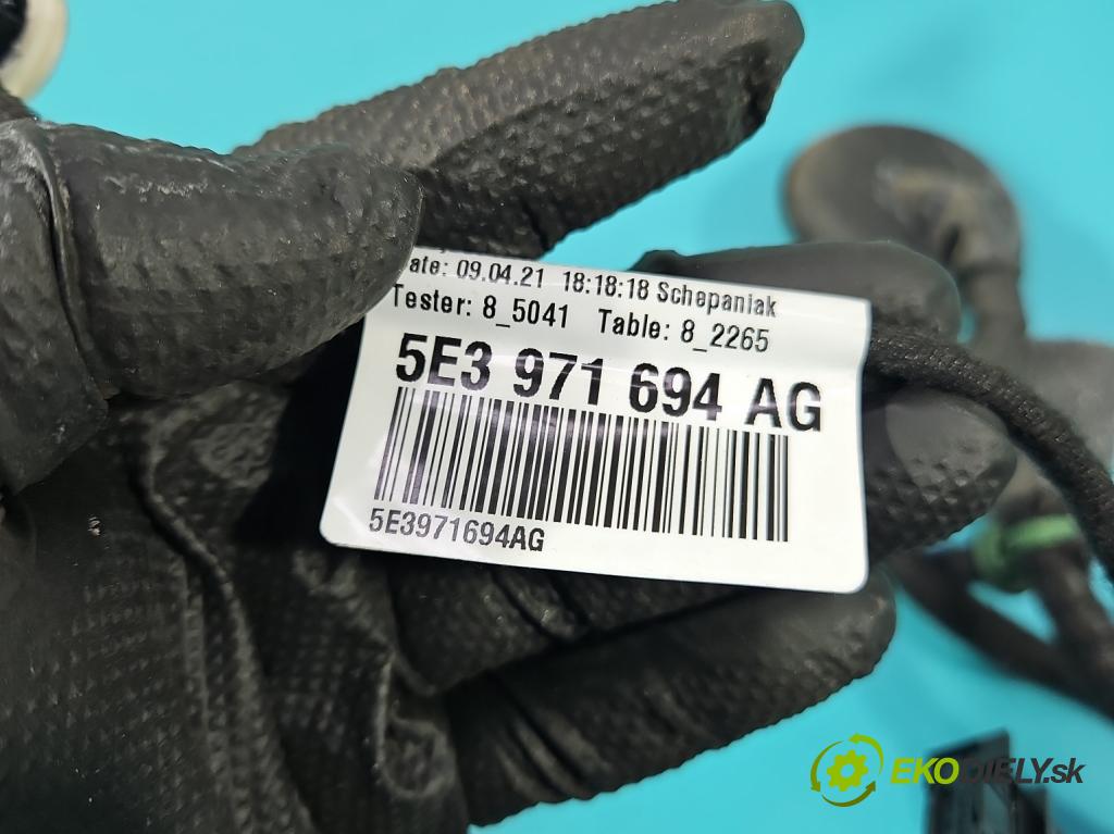 Skoda Octavia IV 2019- 2.0 TDI 116 hp manual 85 kW 1968 cm3 5- Balíček: dveře zadní pravých 5E3971694