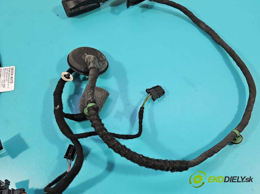 Skoda Octavia IV 2019- 2.0 TDI 116 hp manual 85 kW 1968 cm3 5- Balíček: dveře zadní pravých 5E3971694