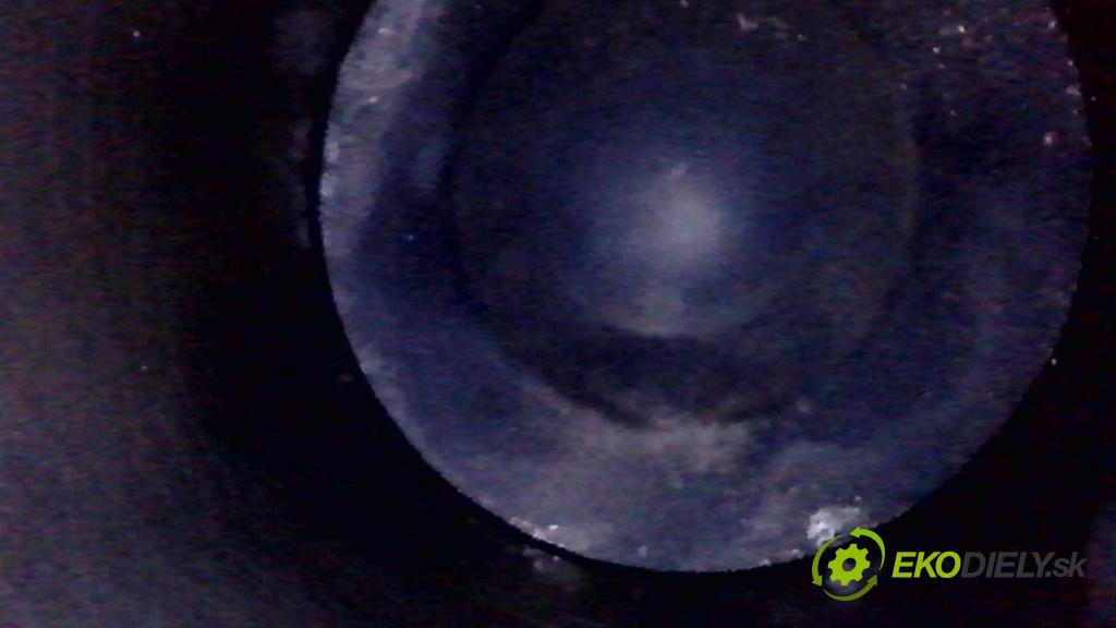 Peugeot 301 1.6 hdi 99 HP manual 73 kW 1560 cm3 4- motor diesla BH02