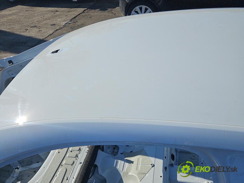 Skoda Octavia IV 2019- 2.0 TDI 116 HP manual 85 kW 1968 cm3 5- strecha