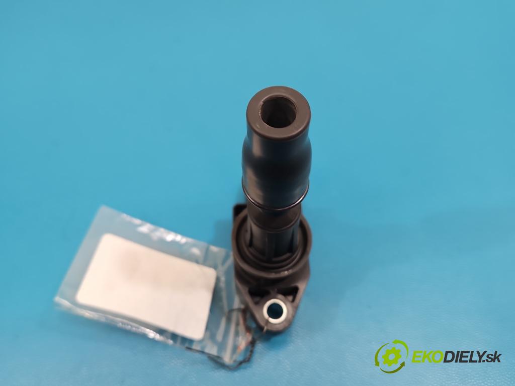 Hyundai Santa Fe III 2012–2018 2.4 GDI 190 HP automatic 140 kW 2359 cm3 5- cievka zapaľovacia 27300-2GGA0 (Zapaľovacia cievka)