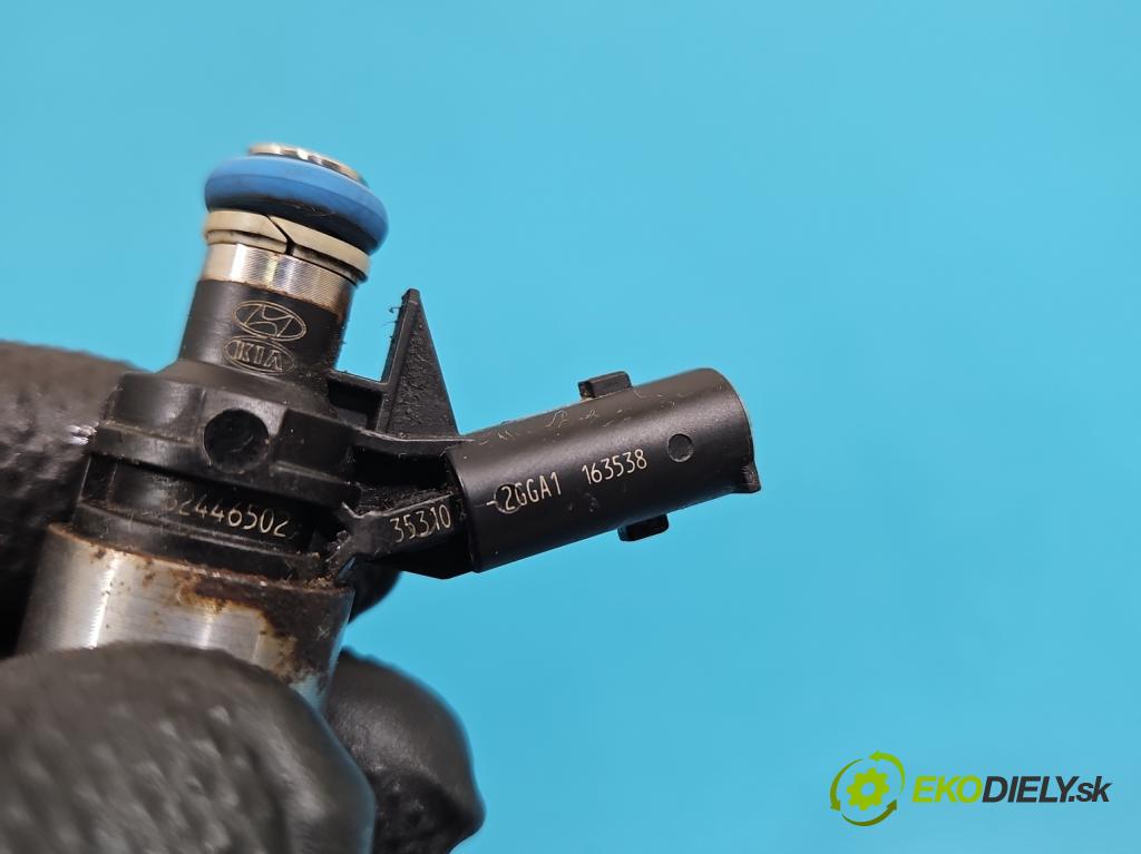 Hyundai Santa Fe III 2012–2018 2.4 GDI 190 HP automatic 140 kW 2359 cm3 5- vstrek 0261500309 (Vstrekovač paliva)