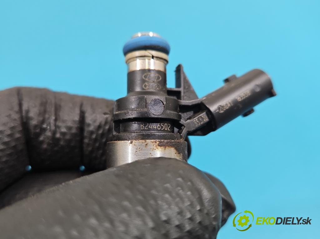 Hyundai Santa Fe III 2012–2018 2.4 GDI 190 HP automatic 140 kW 2359 cm3 5- vstrek 0261500309 (Vstrekovač paliva)