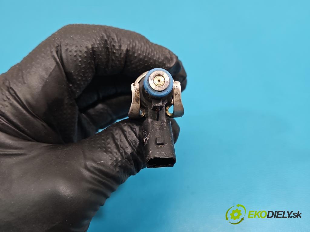 Hyundai Santa Fe III 2012–2018 2.4 GDI 190 HP automatic 140 kW 2359 cm3 5- vstrek 0261500309 (Vstrekovač paliva)