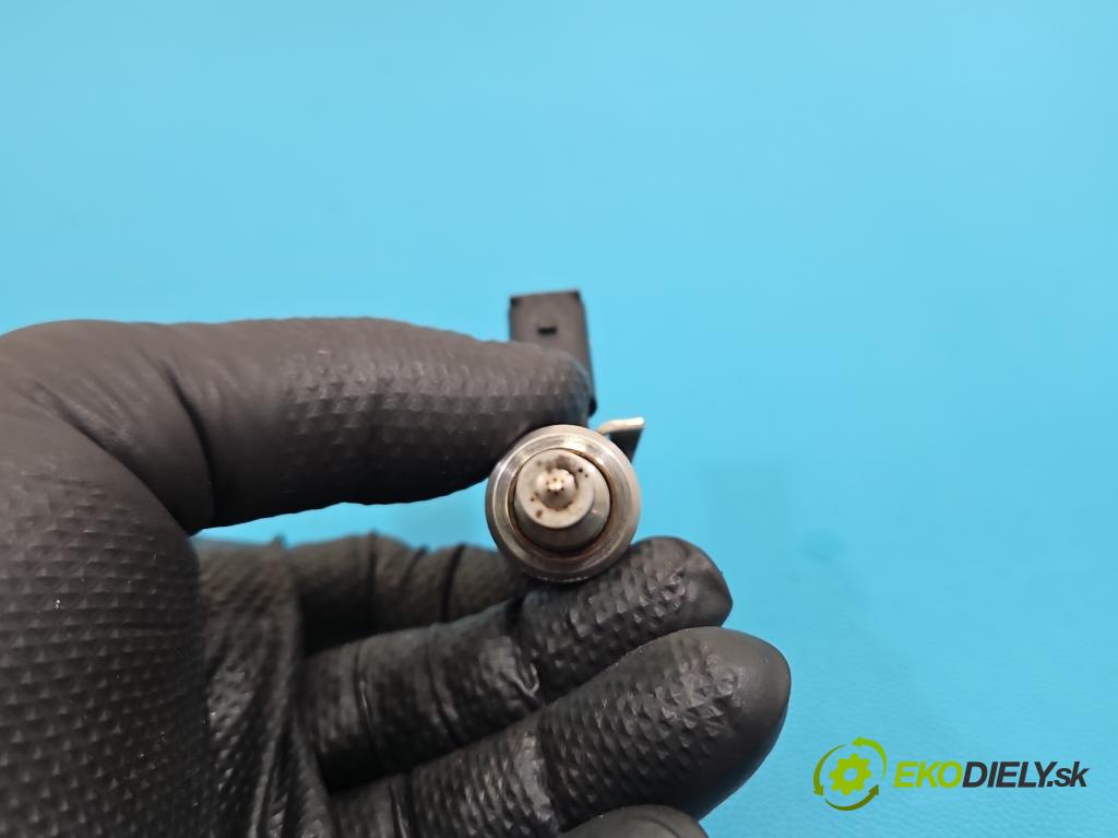 Hyundai Santa Fe III 2012–2018 2.4 GDI 190 HP automatic 140 kW 2359 cm3 5- vstrek 0261500309 (Vstrekovač paliva)