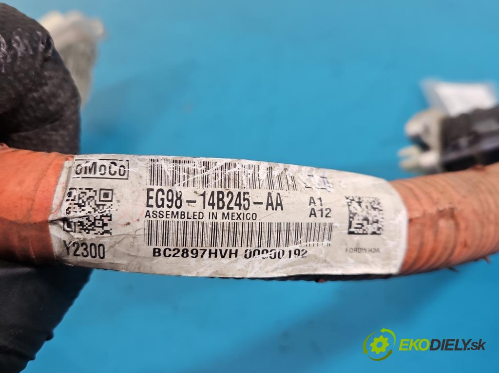 Ford Mondeo Mk5 2014-2022 2.0 16V 140 HP automatic 103 kW 1999 cm3 4- Zväzok: ostatné EG98-14B245-AA