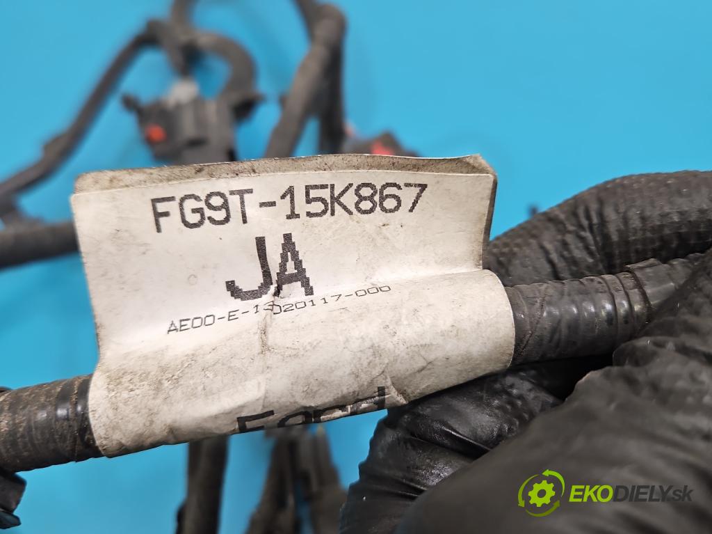 Ford Mondeo Mk5 2014-2022 2.0 16V 140 HP automatic 103 kW 1999 cm3 4- Zväzok: nárazník predné FG9T-15K867-JA