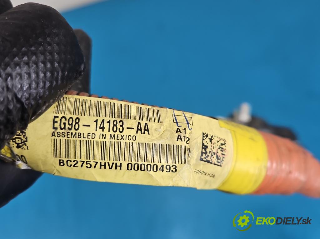 Ford Mondeo Mk5 2014-2022 2.0 16V 140 HP automatic 103 kW 1999 cm3 4- Zväzok: ostatné EG98-14183-AA