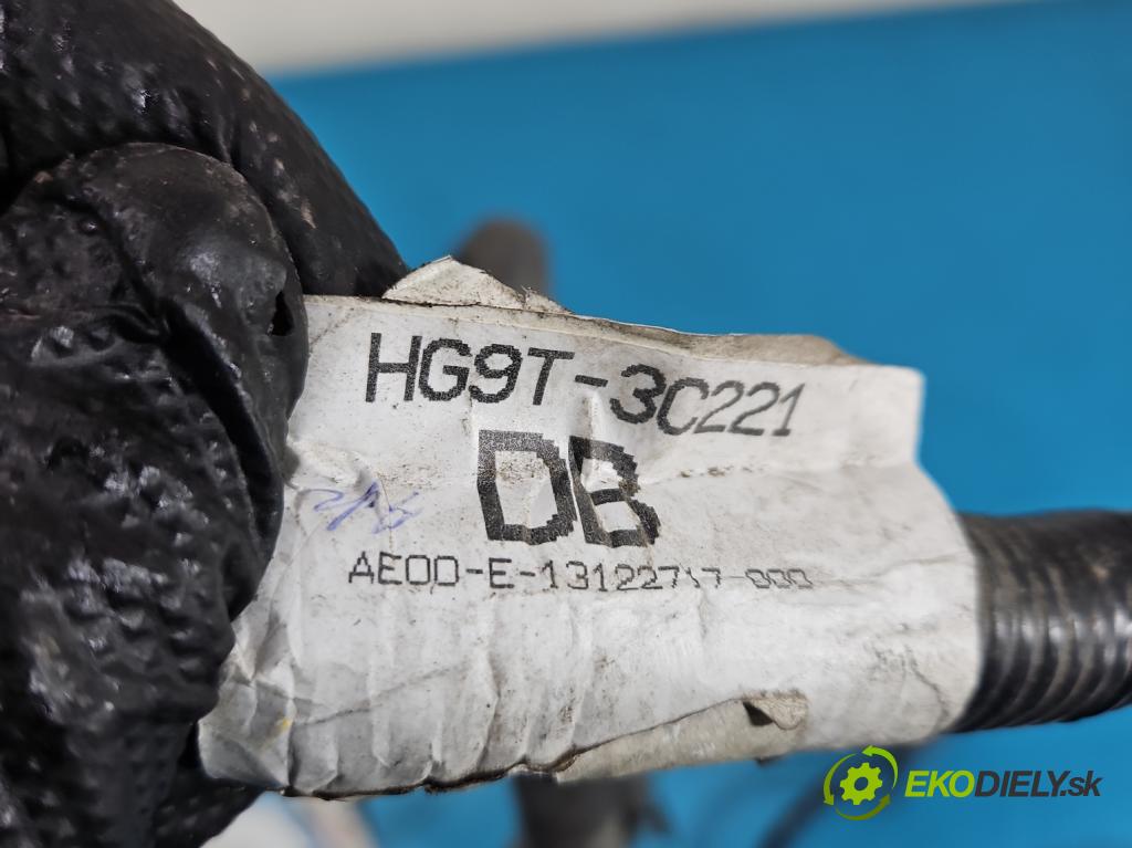 Ford Mondeo Mk5 2014-2022 2.0 16V 140 HP automatic 103 kW 1999 cm3 4- Zväzok: ostatné HG9T-3C221-DB