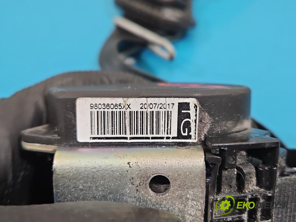 Peugeot 301 1.6 hdi 99 hp manual 73 kW 1560 cm3 4- stěna bezpečnost přední levý 98036065XX