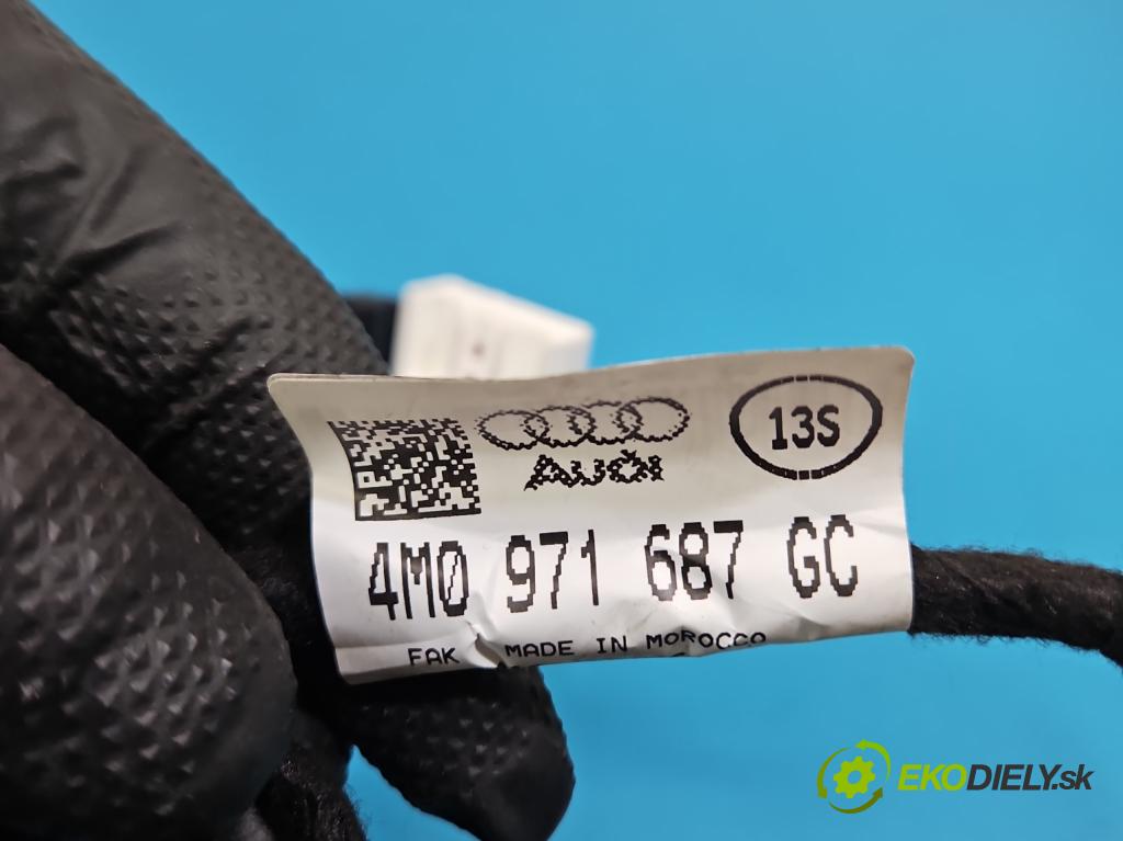 Audi Q7 2015- 3.0 TFSI CRE 333KM: automatic 245 kW 2995 cm3 5- Balíček: dveře zadní vlevo 4M0971687GC