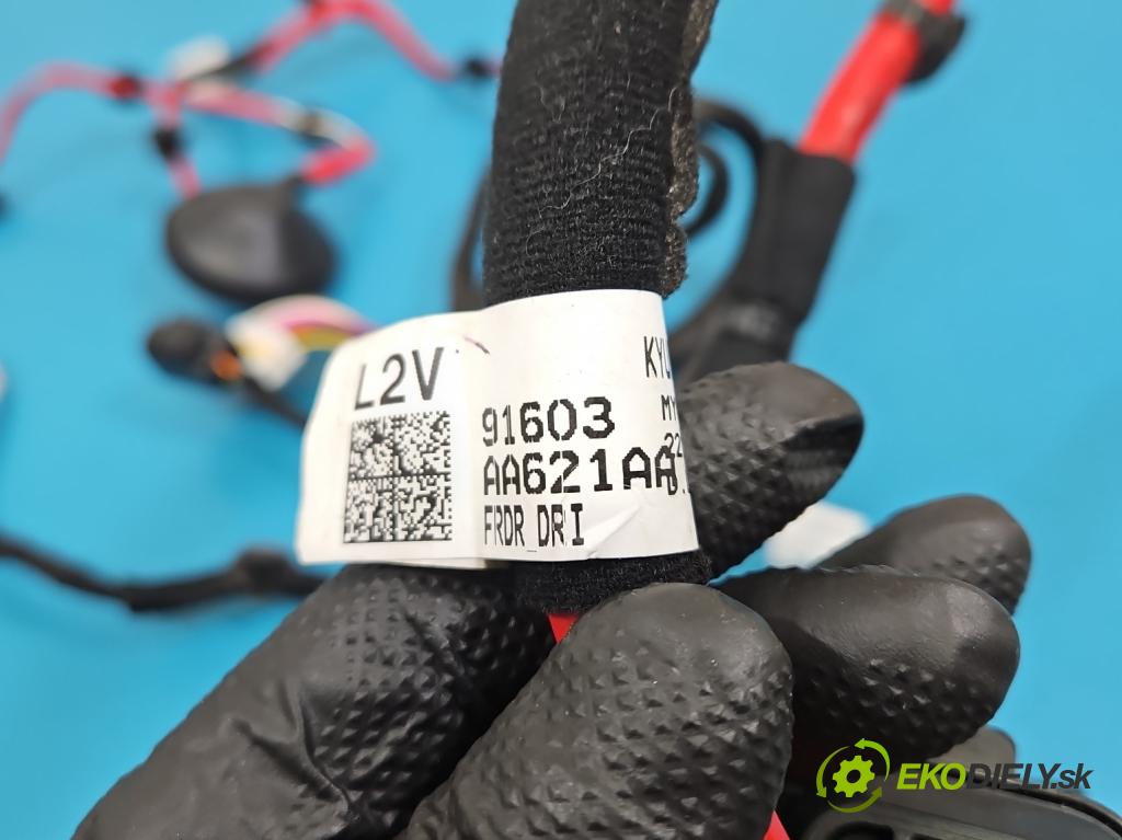 Hyundai Elantra VII 2020- 1.6 16V manual 90.2 kW 1598 cm3 4- Zväzok: dvere predné vľavo: 91603-AA621